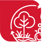 Ico adaptacja2